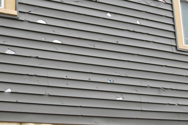 Affordable Siding Repair and Maintenance Services in Denver City, TX